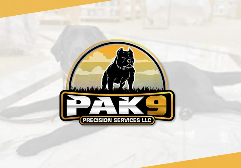 Logo 3